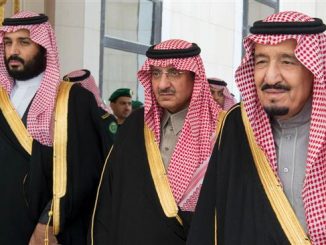 Saudi Princes