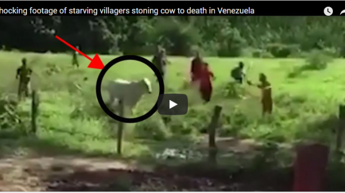 Starving Villagers Stone Cow