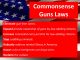 Gun laws